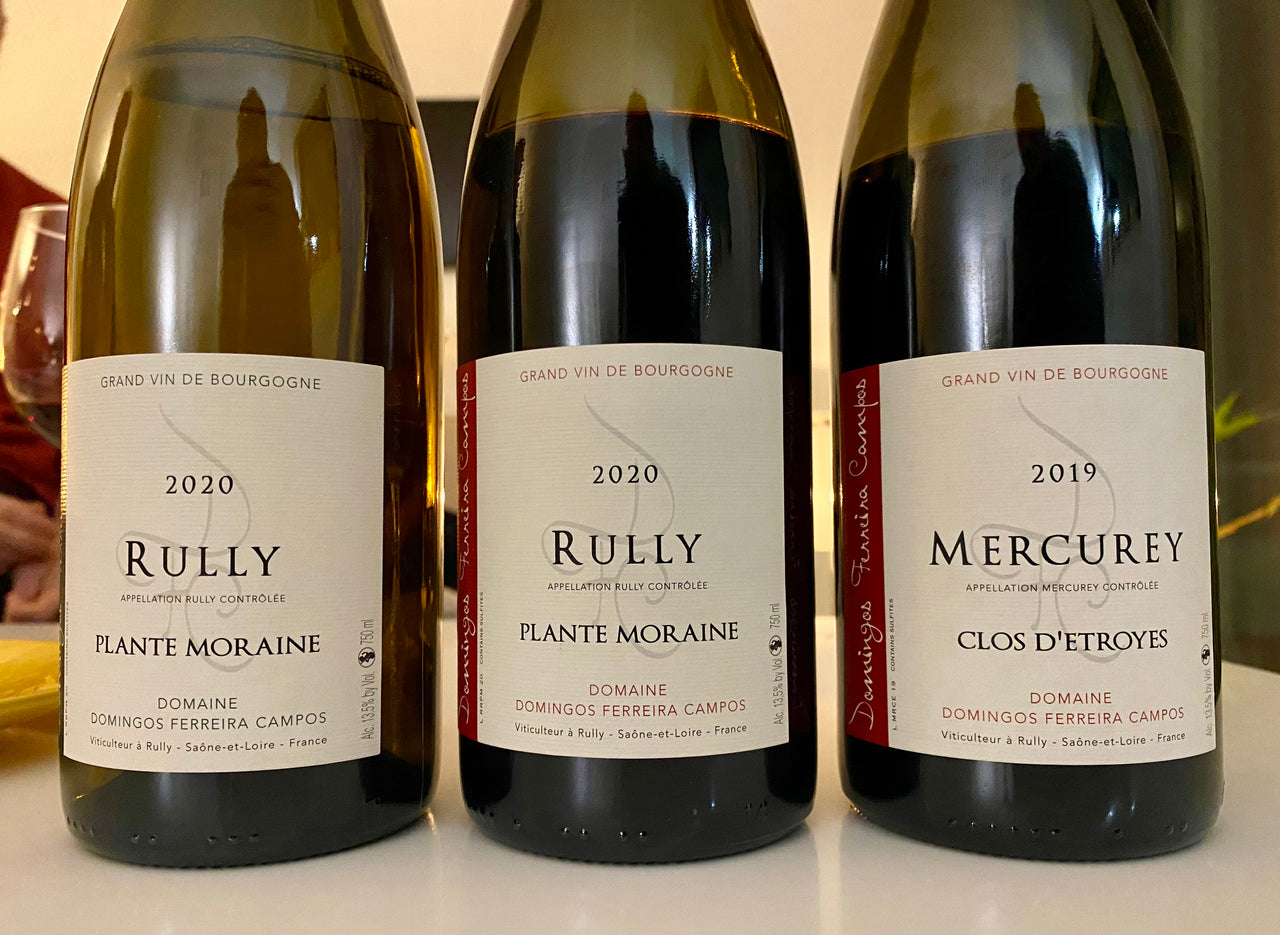 Nouveautés 2022 : Bourgogne