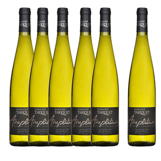 Pack of 6 bottles -Amplitude