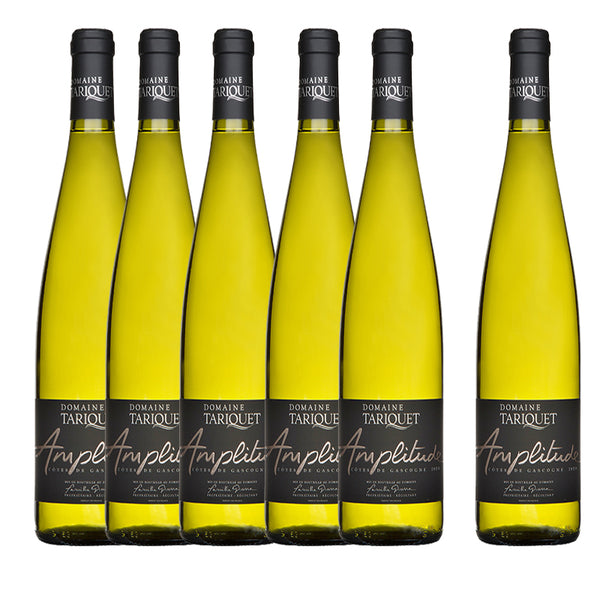 Pack of 6 bottles -Amplitude