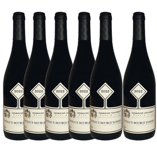 Lot de 6 bouteilles - Coteaux Bourguignons