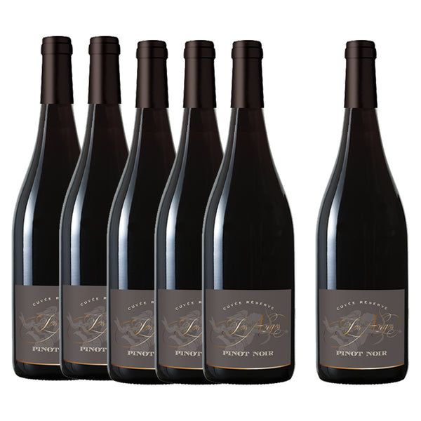 Lot de 6 bouteilles - Pinot Noir 